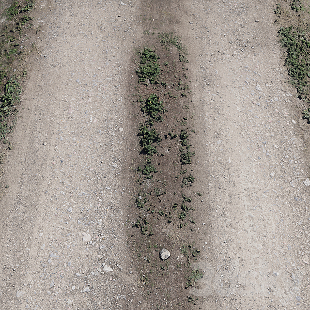 Dirt road_1 3DS Max Model - thumbnail 2