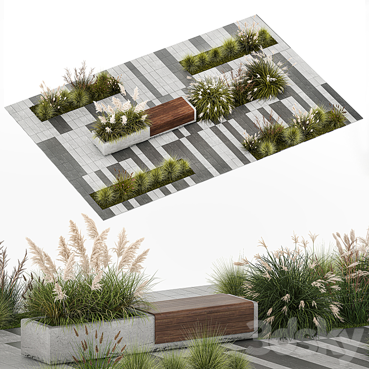 Flower bed with feather grass bushes Miscanthus Cortaderia and white pampas grass bench and bench paving slabs. 1147. 3DS Max - thumbnail 1