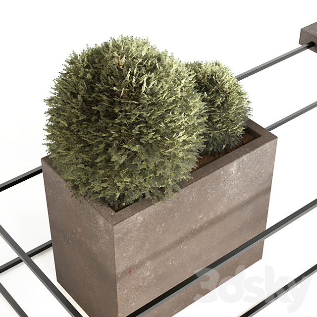 Outdoor plant 01 3DSMax File - thumbnail 2