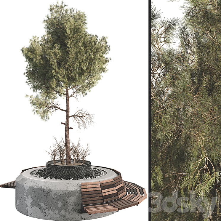 Outdoor Plant Set 06 3DS Max - thumbnail 1