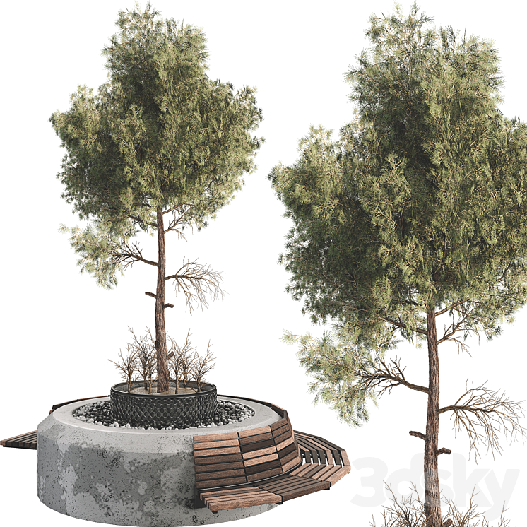 Outdoor Plant Set 06 3DS Max - thumbnail 2