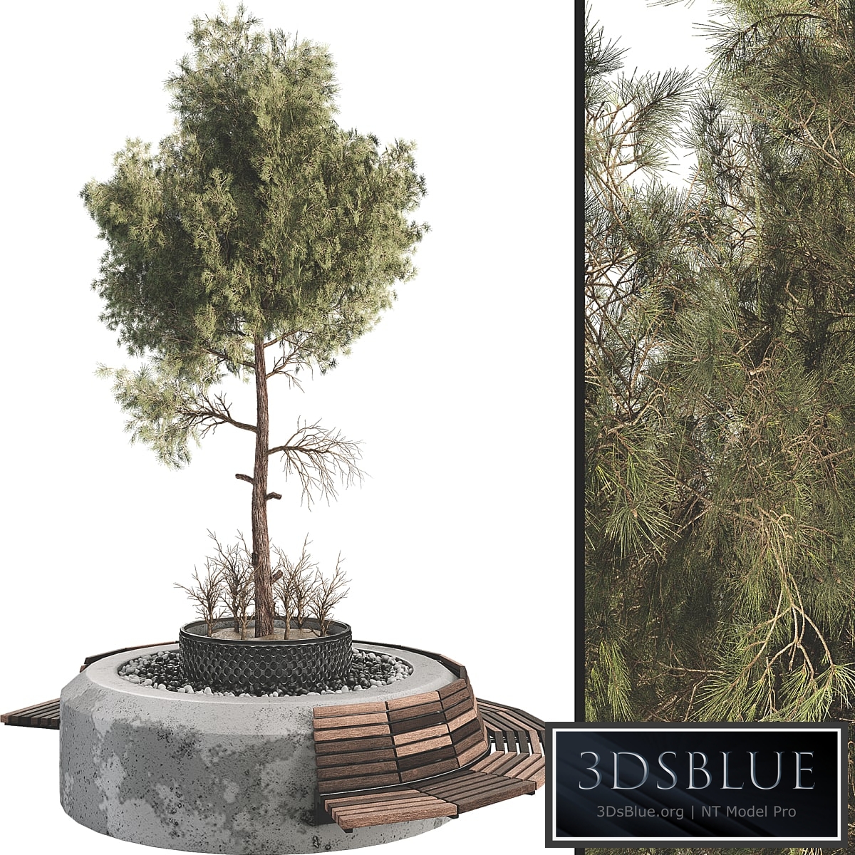 Outdoor Plant Set 06 3DS Max - thumbnail 3