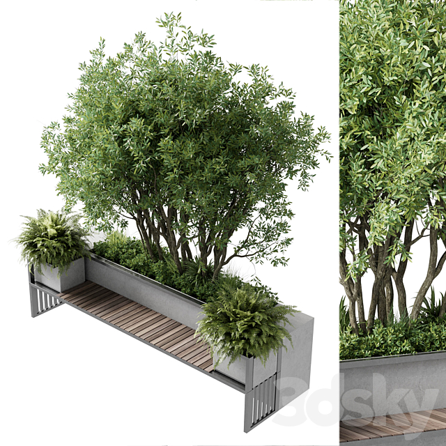 Urban Environment – Urban Furniture – Green Benches With tree 41 3DS Max Model - thumbnail 3