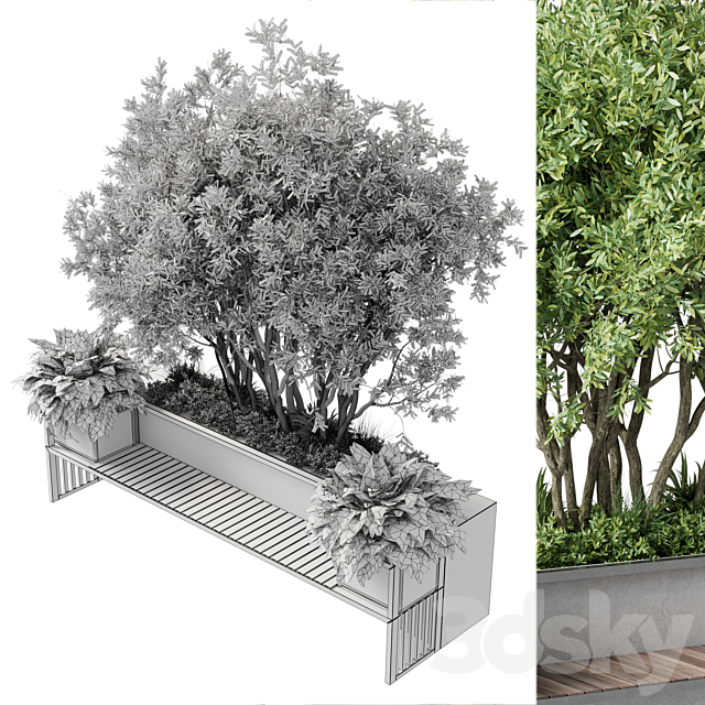 Urban Environment – Urban Furniture – Green Benches With tree 41 3DS Max Model - thumbnail 4