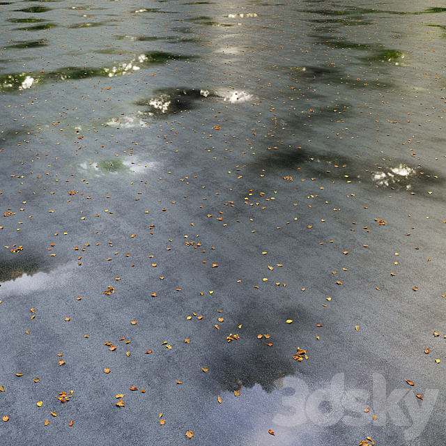 Wet asphalt with leaves. Autumn. Editable 3DS Max Model - thumbnail 2