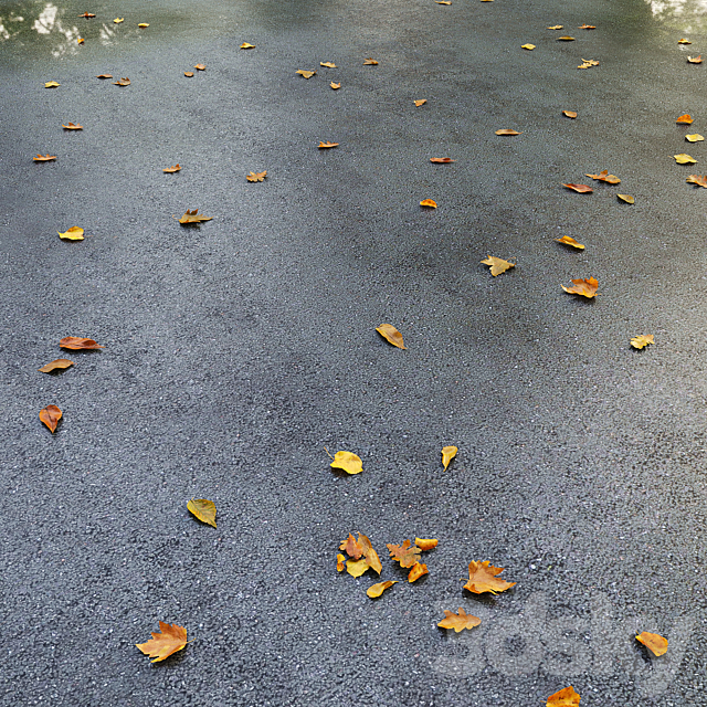 Wet asphalt with leaves. Autumn. Editable 3DS Max Model - thumbnail 3