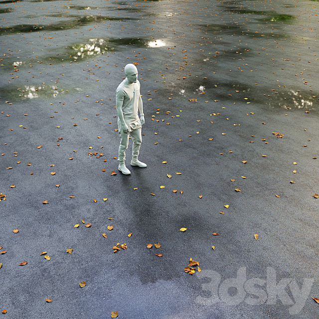 Wet asphalt with leaves. Autumn. Editable 3DS Max Model - thumbnail 4